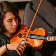 Insegnante di violino e aiuto per materie musicali teoriche